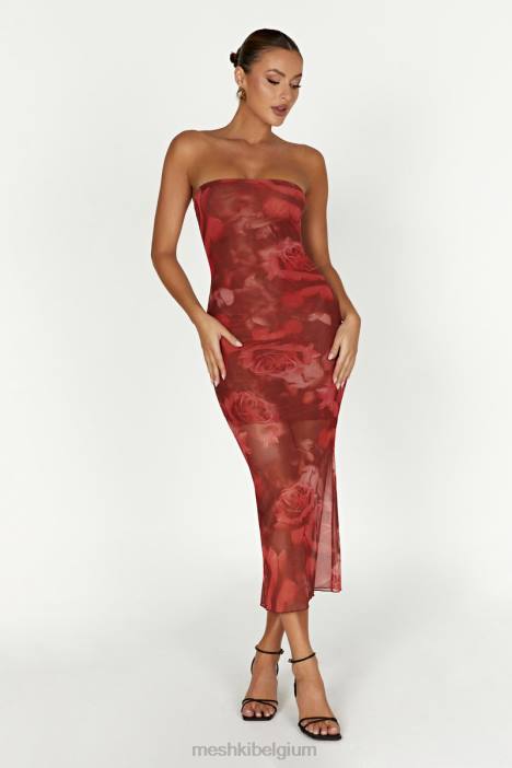 Aphrodite strapless mesh jurkje Meshki extra grote rozenprint N4JN111 kleding