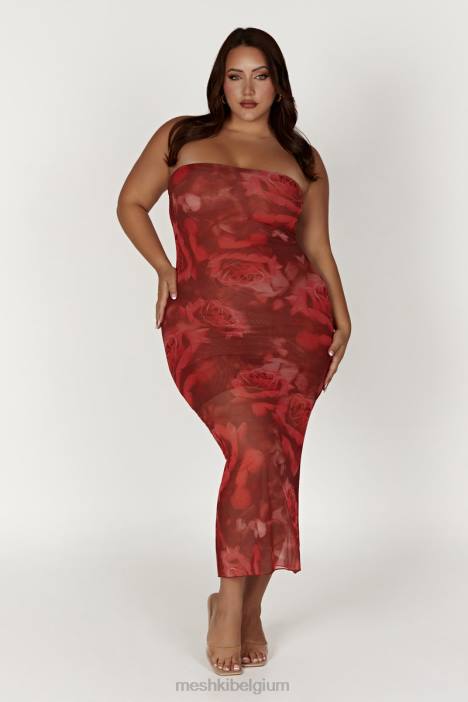 Aphrodite strapless mesh jurkje Meshki extra grote rozenprint N4JN111 kleding
