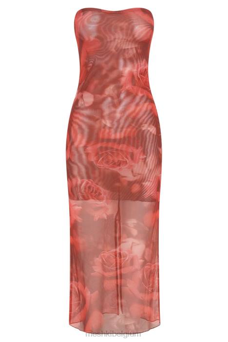 Aphrodite strapless mesh jurkje Meshki extra grote rozenprint N4JN111 kleding