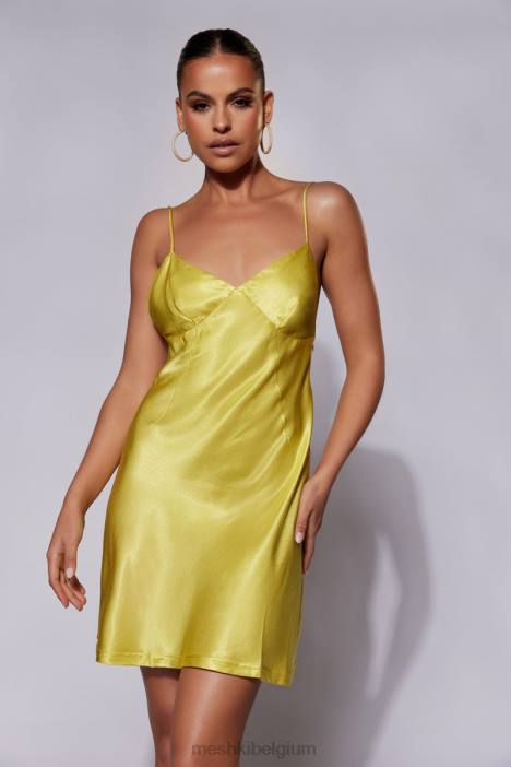 porter mini-slipjurk Meshki chartreuse N4JN673 kleding