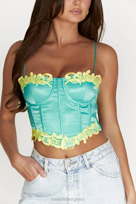 anika micro crop top met kant Meshki munt N4JN957 kleding