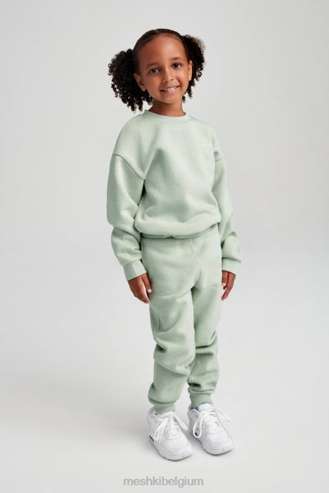 Phoenix ku trui met ronde hals Meshki lichte salie N4JN1499 kleding